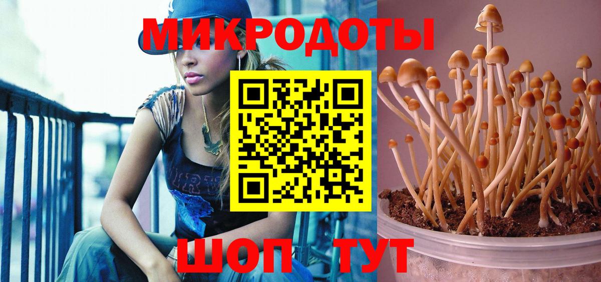 Ессентуки  Псилоцибиновые грибы мухоморы  Вход с VPN 
