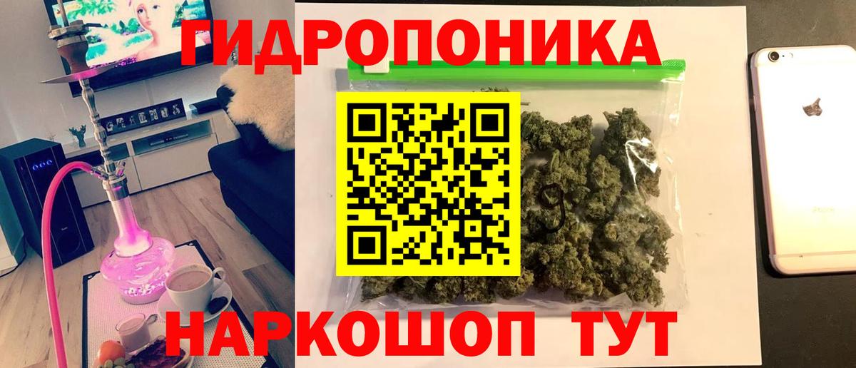 Канабис сатива  Бошки Шишки OG Kush  Ессентуки  Вход с VPN 